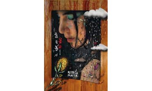 CD + DVD Rebeca Matta � Flor da Pele Ao Vivo